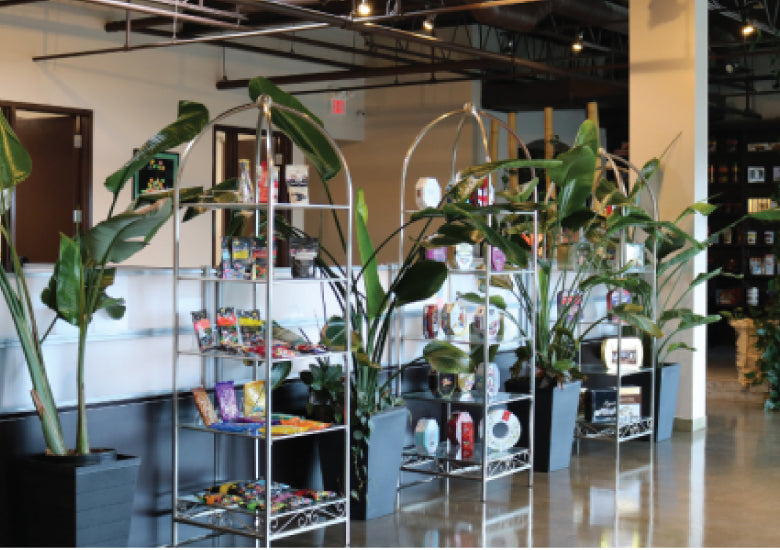 Why You'll Only Find Waterbridge Chocolate Bars In Canada