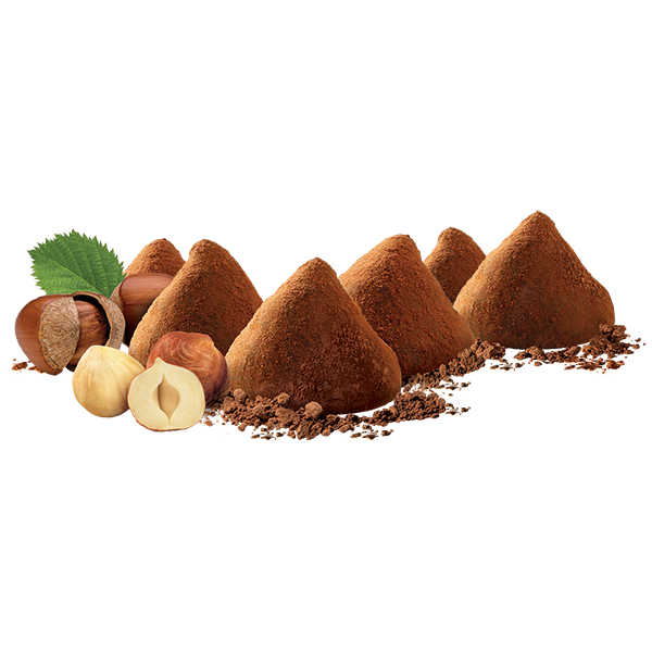 Belgian Milk Chocolate Hazelnut Dusted Truffles 200g Bulk Truffle Image